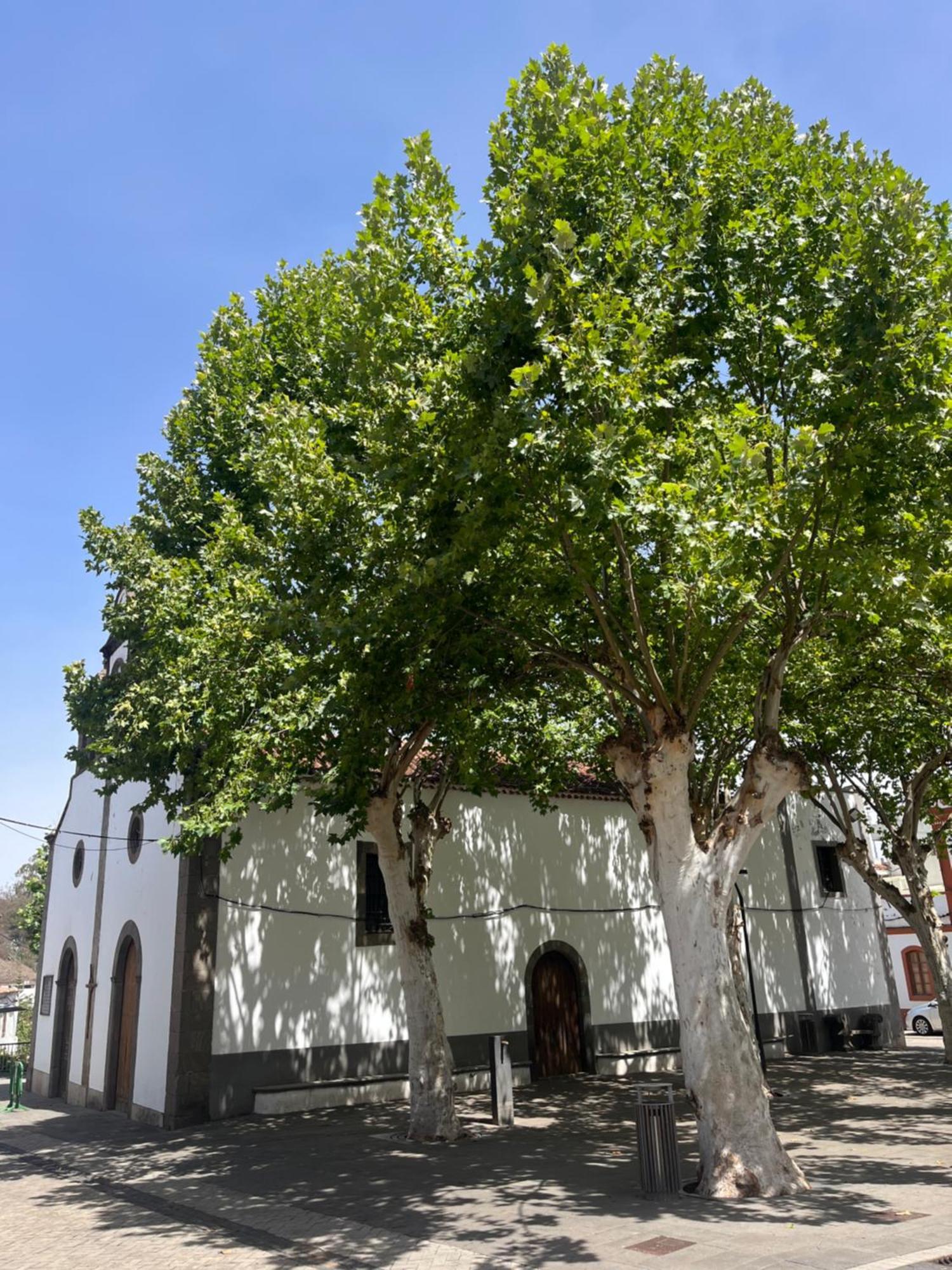 Apartamento Duplex En Fontanales Agua de Fontanales Dış mekan fotoğraf